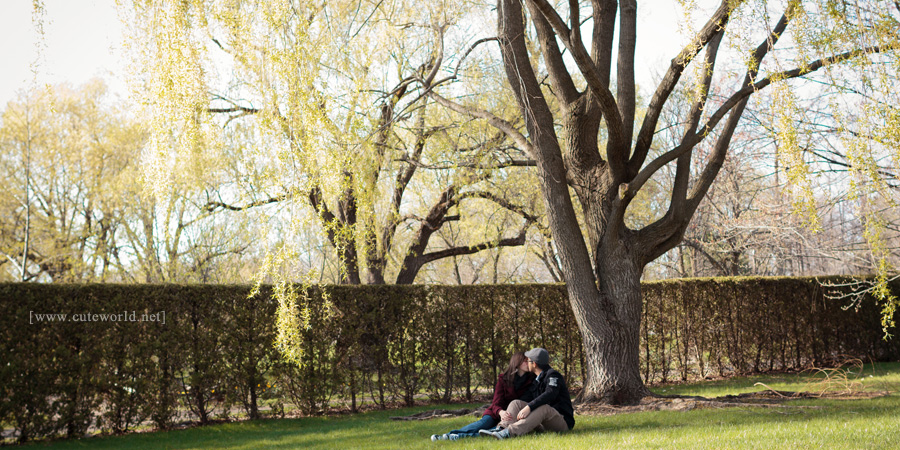 Photographie de couple s'embrassant sous un arbre
