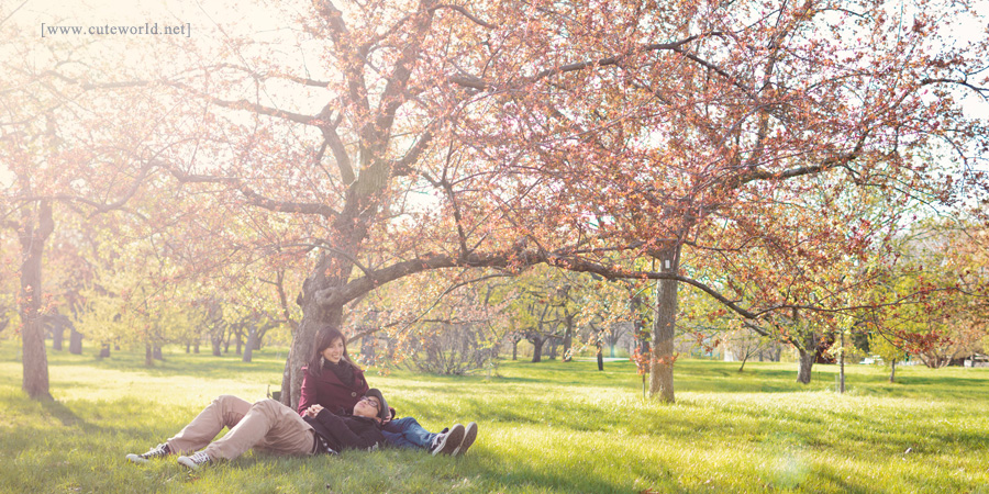 Photo de couple relaxant sous un arbre