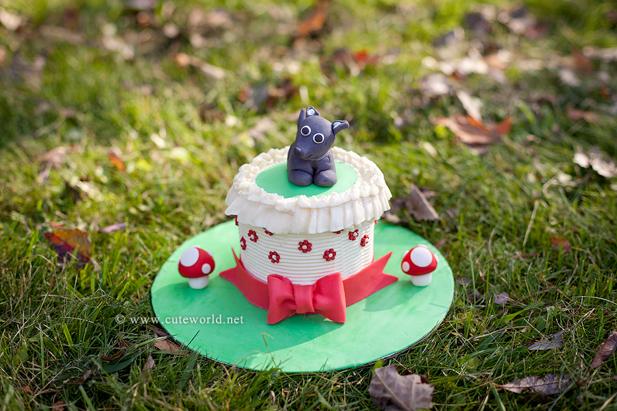 Smash the cake petit chaperon rouge anniversaire
