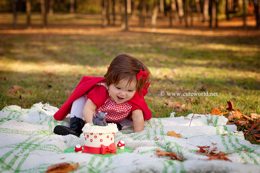 Smash the cake petit chaperon rouge anniversaire
