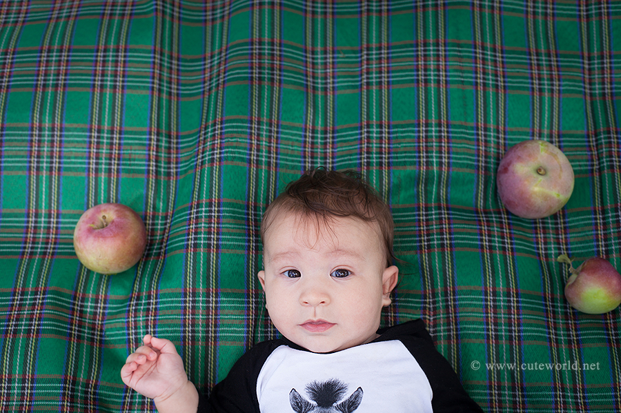 Séance photo famille aux pommes