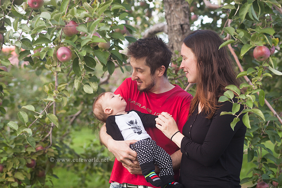 Séance photo famille aux pommes